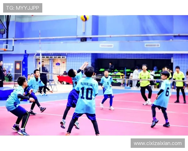 武汉排球队的拼搏之路：奥运会背后的奋斗与荣耀